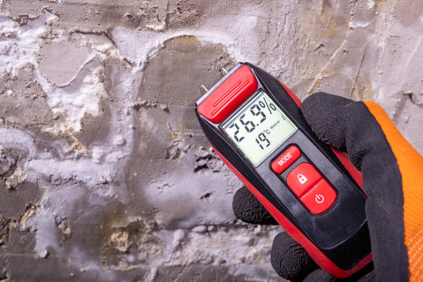 Best Professional Mold Removal  in Princeton, MO